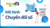 Dịch vụ Tư vấn Mô hình Chuyển đổi số & Phát triển Bền vững