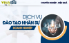 DỊCH VỤ NHÂN SỰ & ĐÀO TẠO TOÀN DIỆN TẠI VINACO.WORK