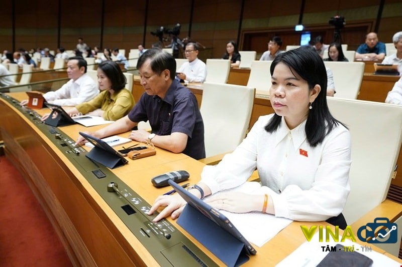 Luat CNS Đai biểu tham gia bieu quyết