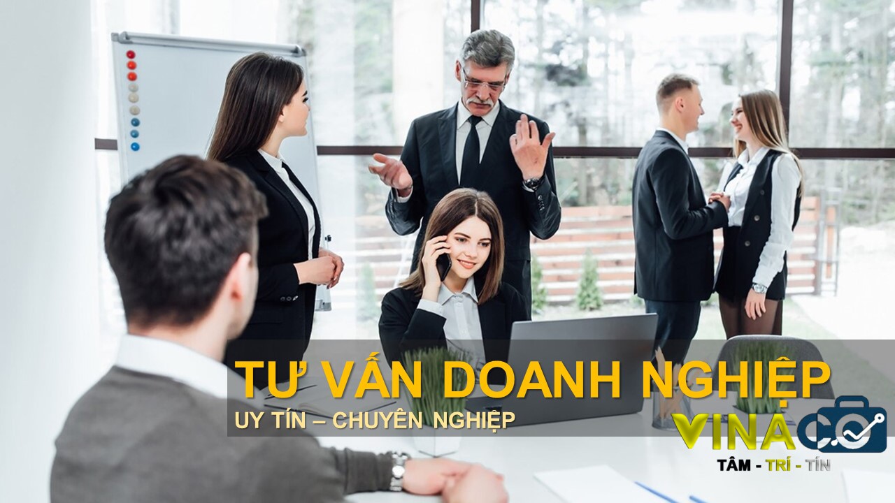 DỊCH VỤ TƯ VẤN & CHIẾN LƯỢC TOÀN DIỆN VINACO.WORK
